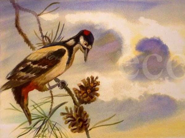 12x9 inch Woodpecker Print from Original WATERCOLOR painting