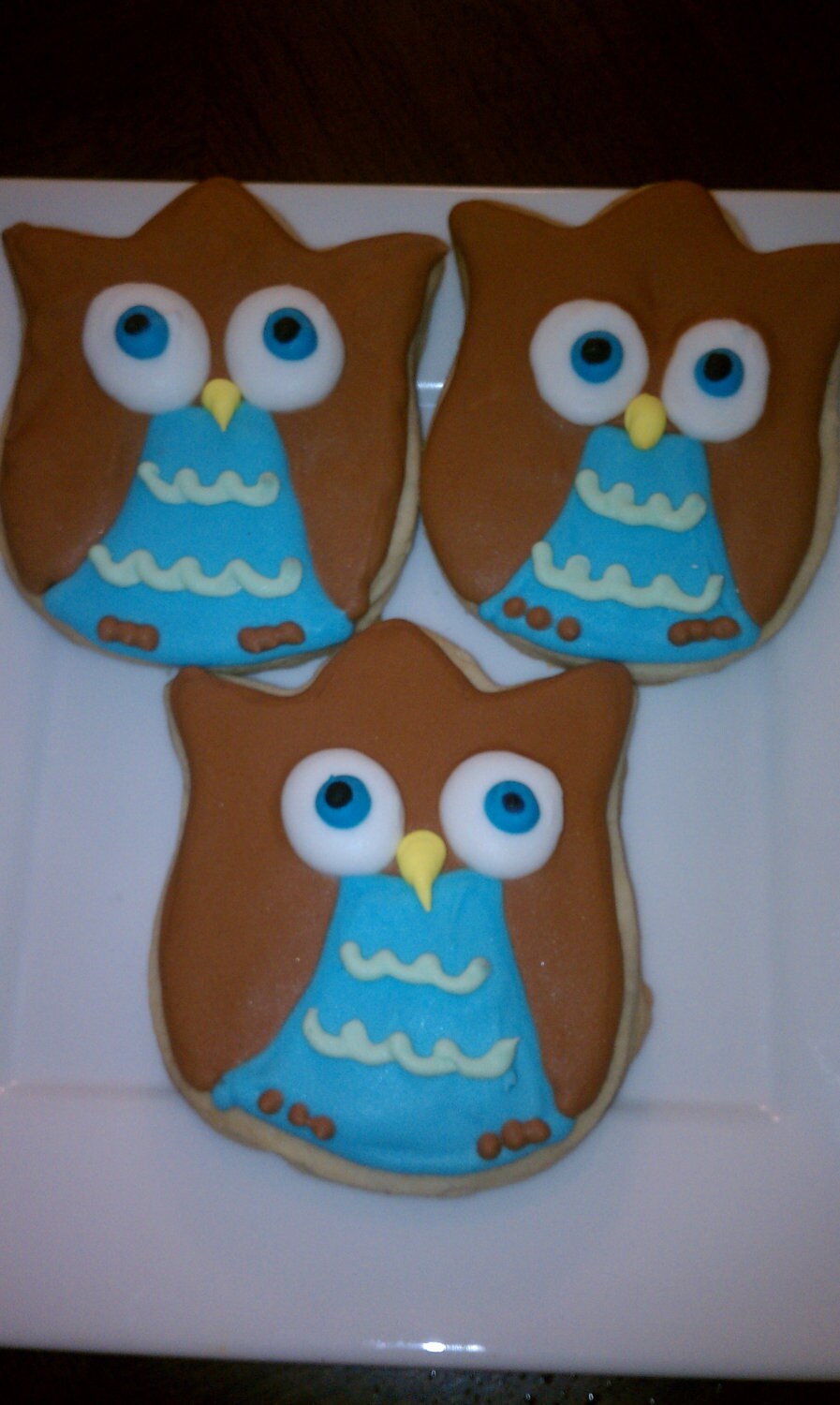 Owl Sugar Cookies