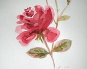 Carmine Red Rose Painting, Flower original watercolor - Mother's Day, botanical, floral anniversary gift, wall art