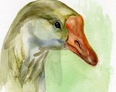 Goose Painting, original bird watercolor, smart head, orange wild life art drawing