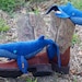 Realistic Humpback whale Mama & Baby, handmade plush whales created out of repurposed vintage denim