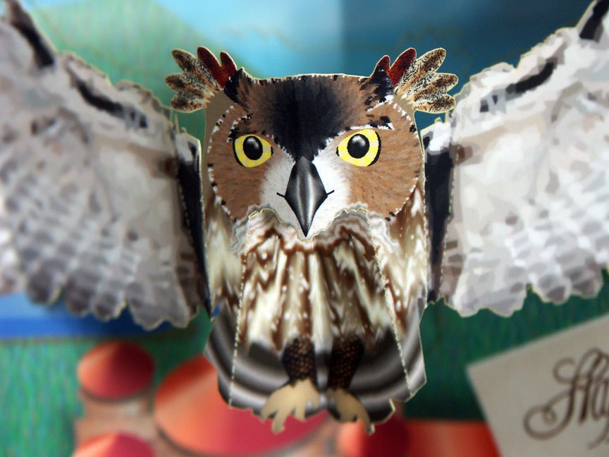 Pop up Owl Birthday Card, Flying owl with Happy Birthday message