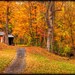 Autumn Landscape- New England Art Print- Wooded Landscape- Room Decor- Wall Art- "Autumn Cottage"