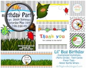 Lil' Bug Birthday Party Package
