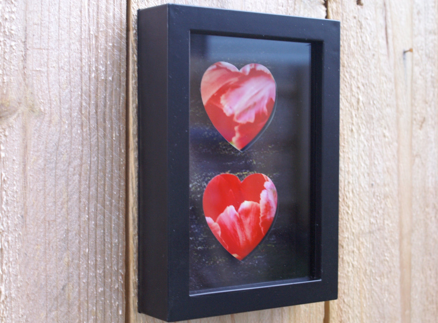 Two Hearts Shadowbox Modern Framing of Red Flower Photo Hearts on White Background in Black Shadowbox