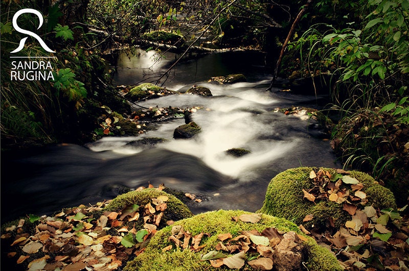River in a forest, nature photography, 6x8in high quality print, waterfall, Finland