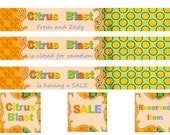 Citrus Blast Etsy Shop Banners, avatars, full shop set