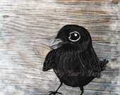 Crow / Raven on wood grain, art print, original illustration, drawing, black and white, baby bird