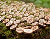 Wood Slices for  Place Cards QTY: 150 Redwood Tree Slabs