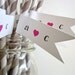 25 Custom Paper Straws With Flags/ Choose Your Colors/ Wedding