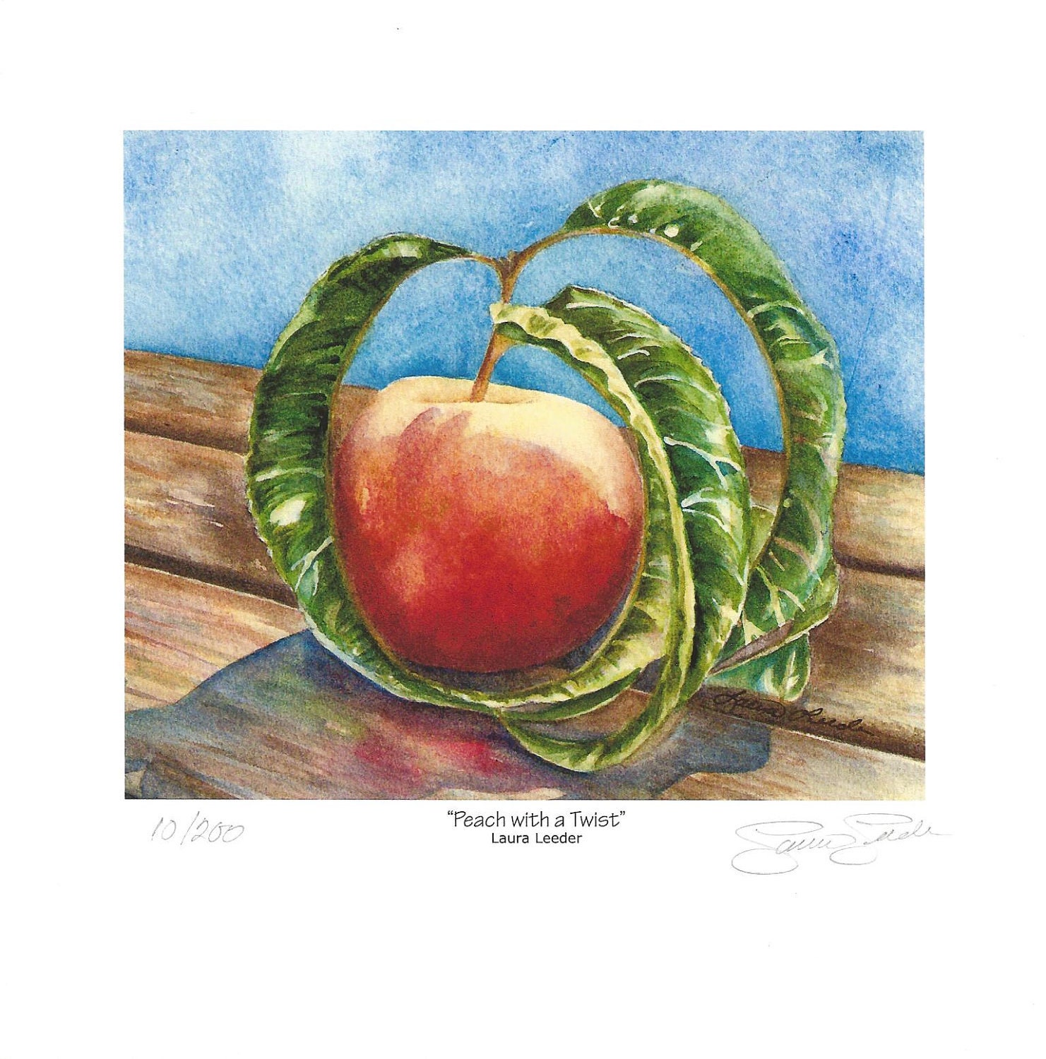 Peach With A Twist, Fine Art Print Apx 5x7