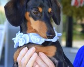 Fleece Dog Scarf for Winter (Multiple Colors)