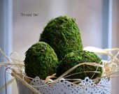 Decorative Moss Covered Easter Eggs (set of 6 eggs)