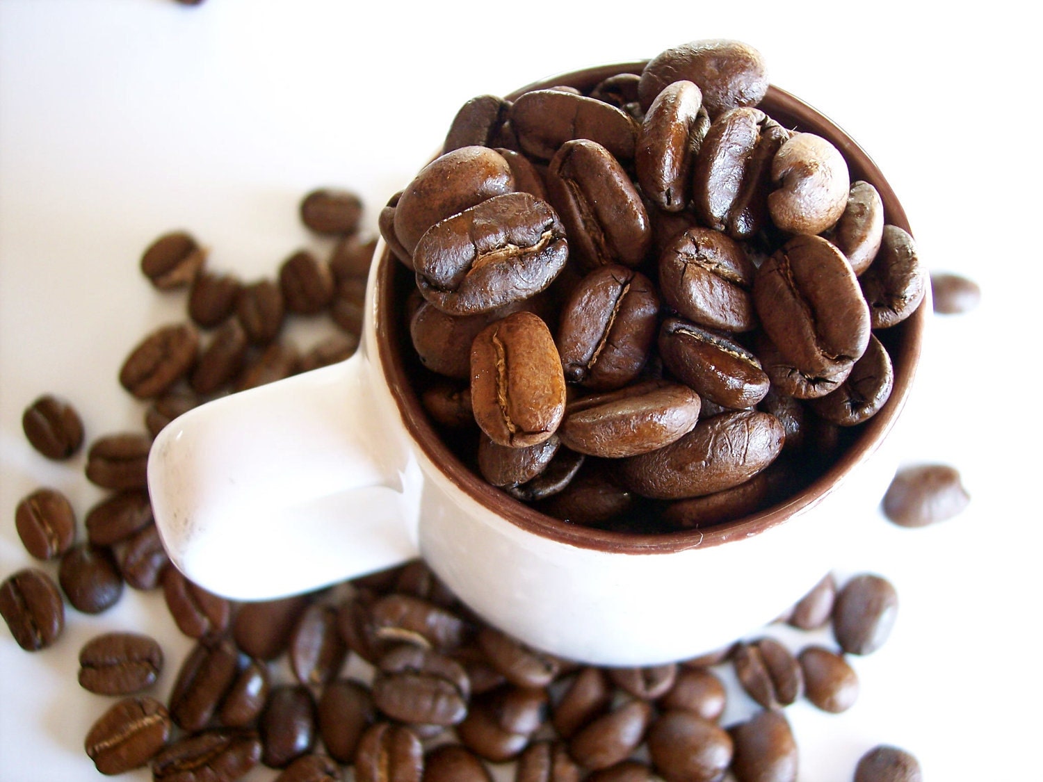 Papua New Guinea 1lb, Fresh Roasted Coffee