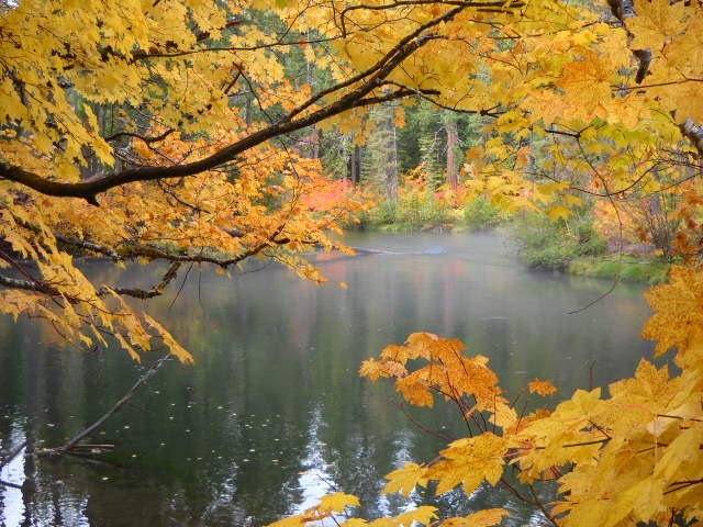 Natures Window 1 in a series Original 8x10 Nature Photo