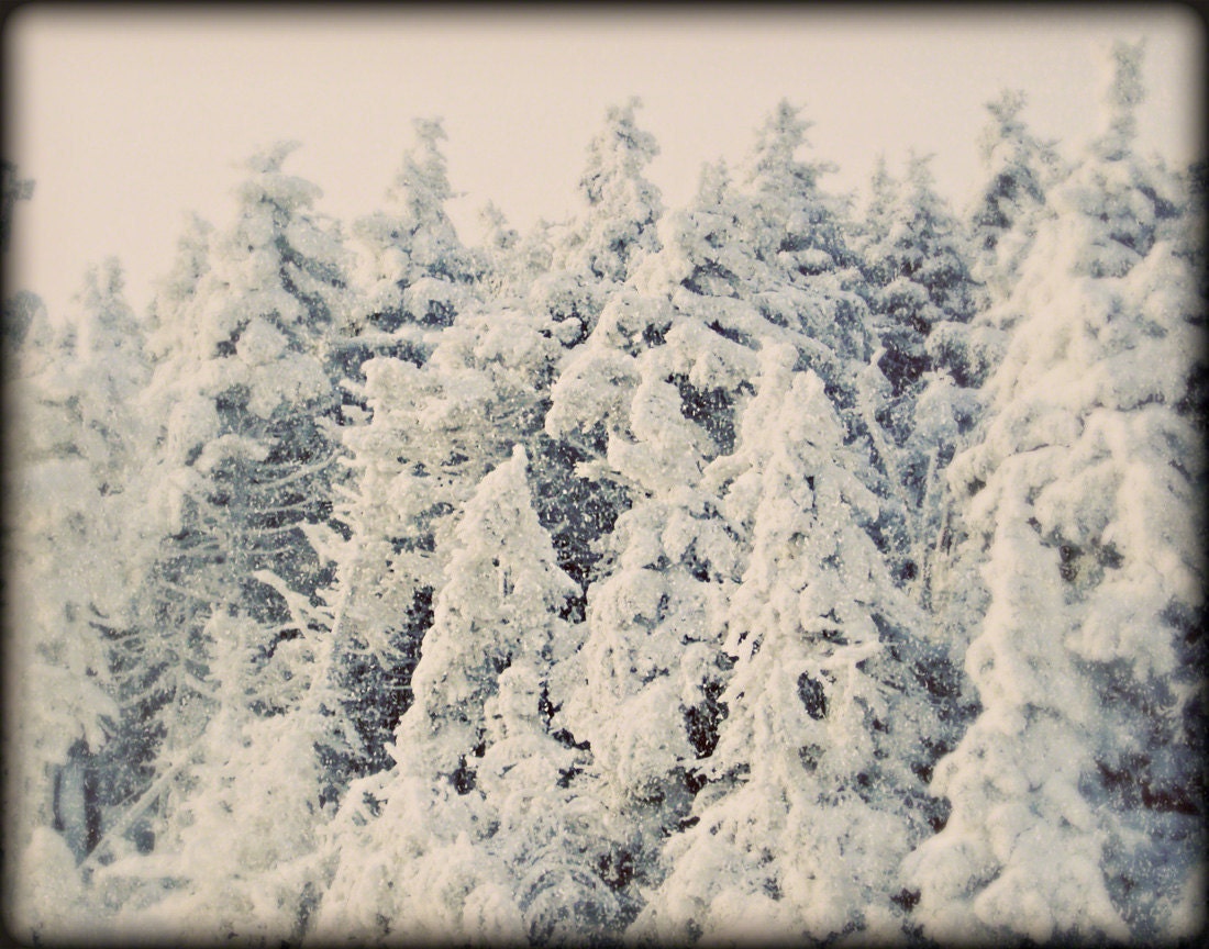 8x10 photograph - "Snowed In" - fine art print - vintage photography - winter photography - snow - christmas art