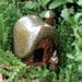 Gnome Home 5 - Tiny Pottery Sculptures for Miniature Gardens, Fairy Garden, Terrarium, or Dollhouse