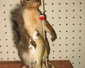 Taxidermy fishing squirrel mount  great Gift cabin loghome decor sporting goods NEW