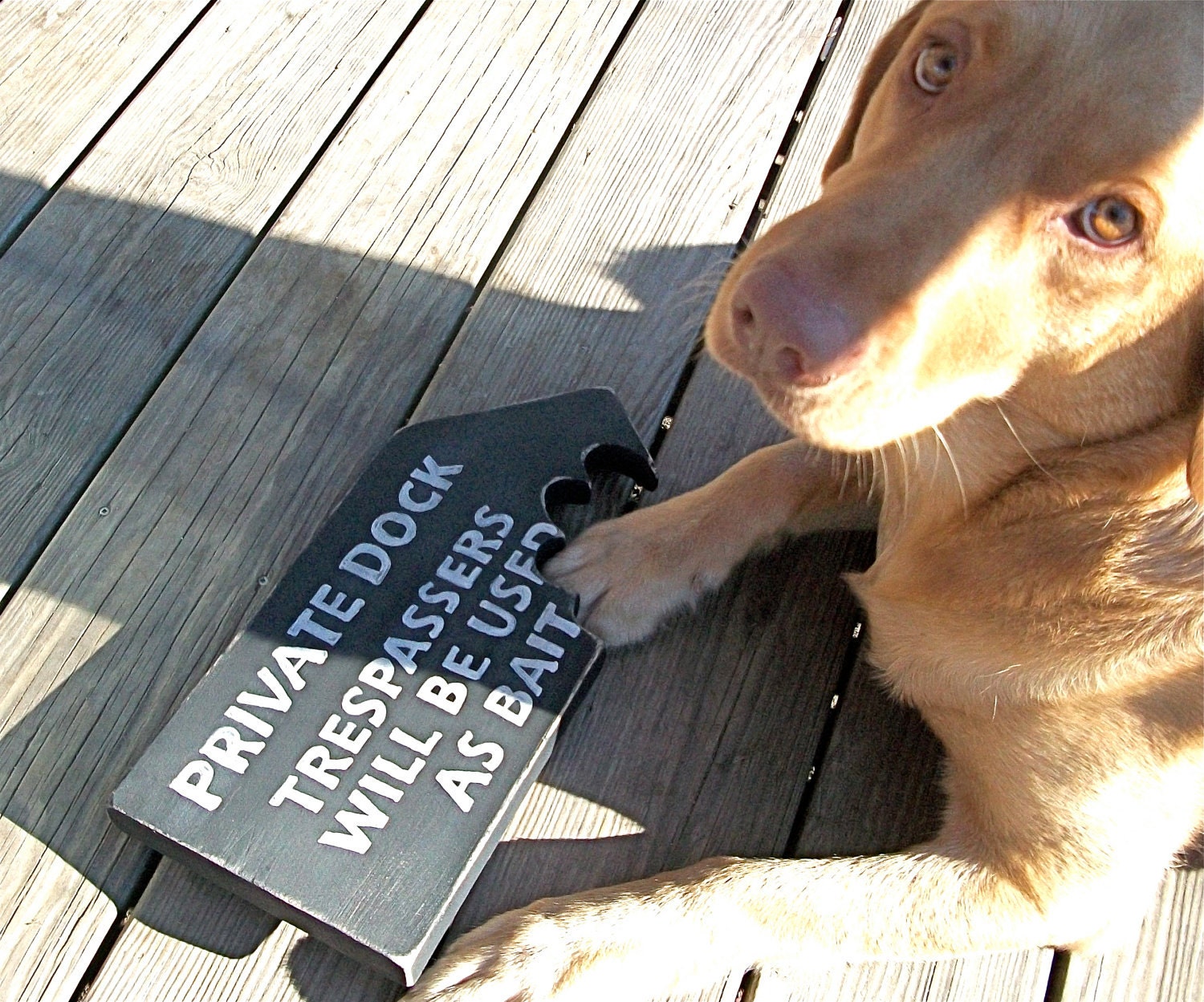 Private Dock Trespassers Will Be Used As Bait, No Trespassing, Funny Sign, Tiki Hut, Rustic, Chomp, Cool Dog Duke