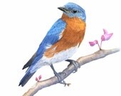 Bluebird of Happiness, 8 x 10 Gicleé Print of Original Watercolor by Lore Ruttan.