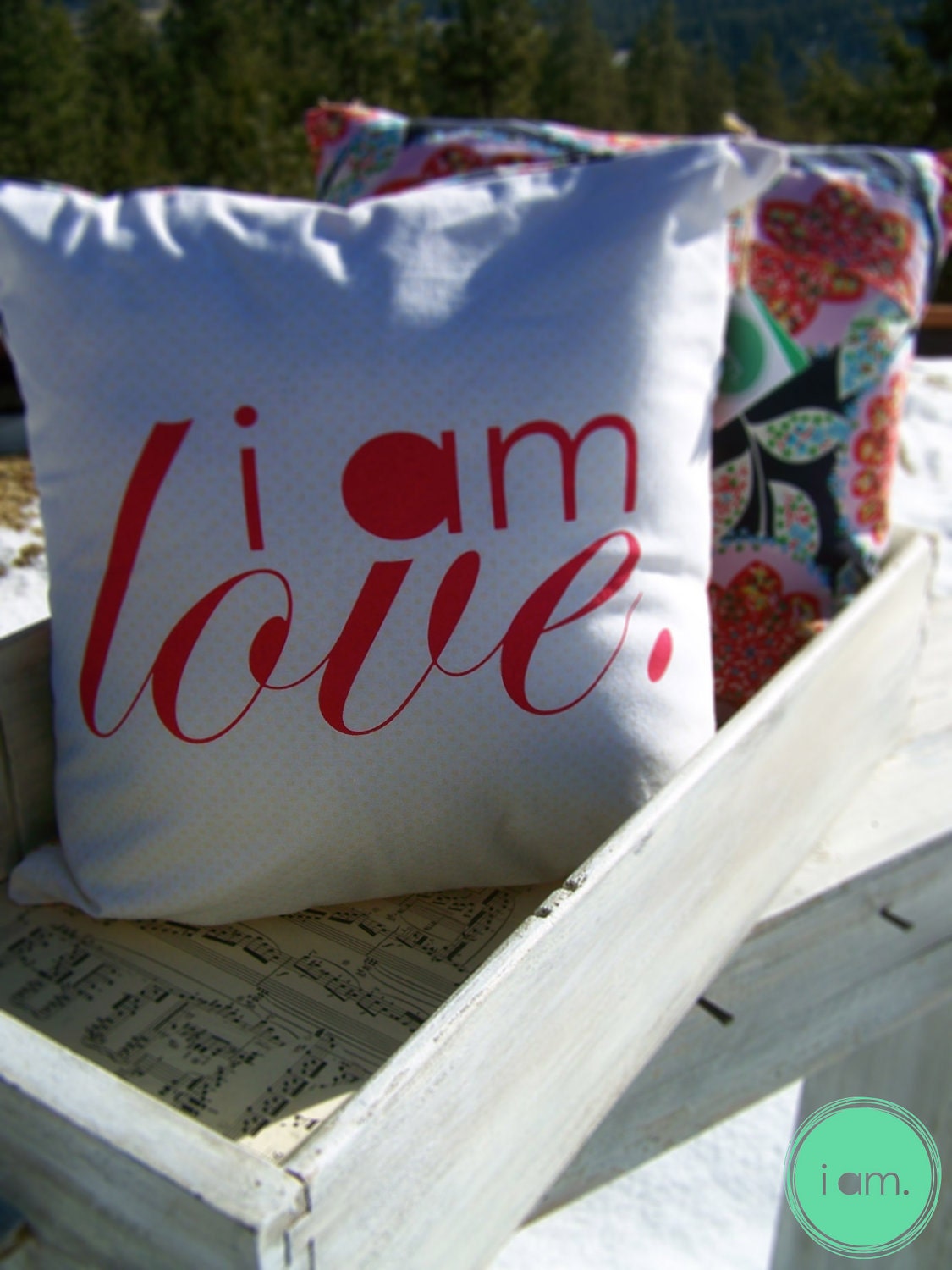 i am love pillow.