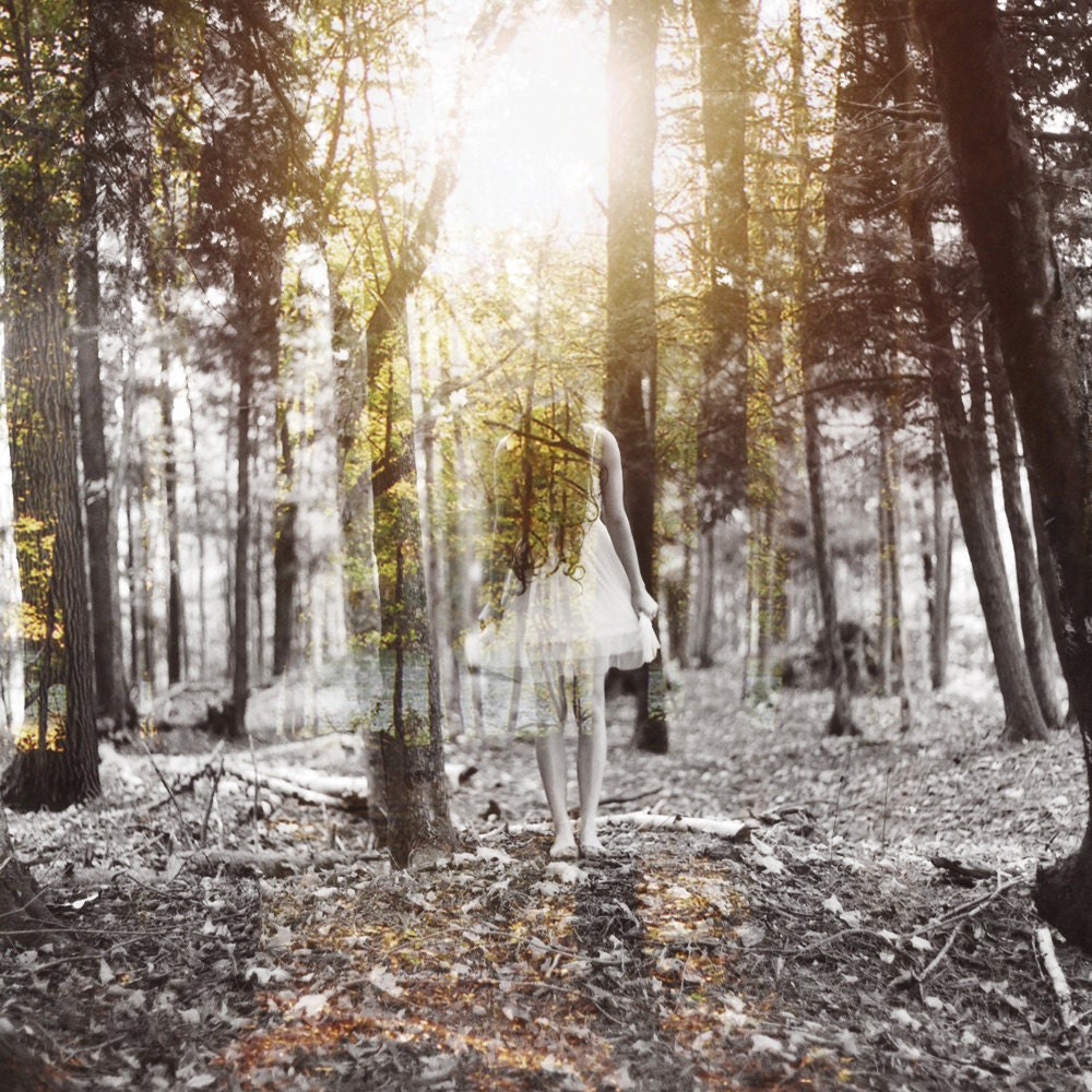 Daughter of the Forest