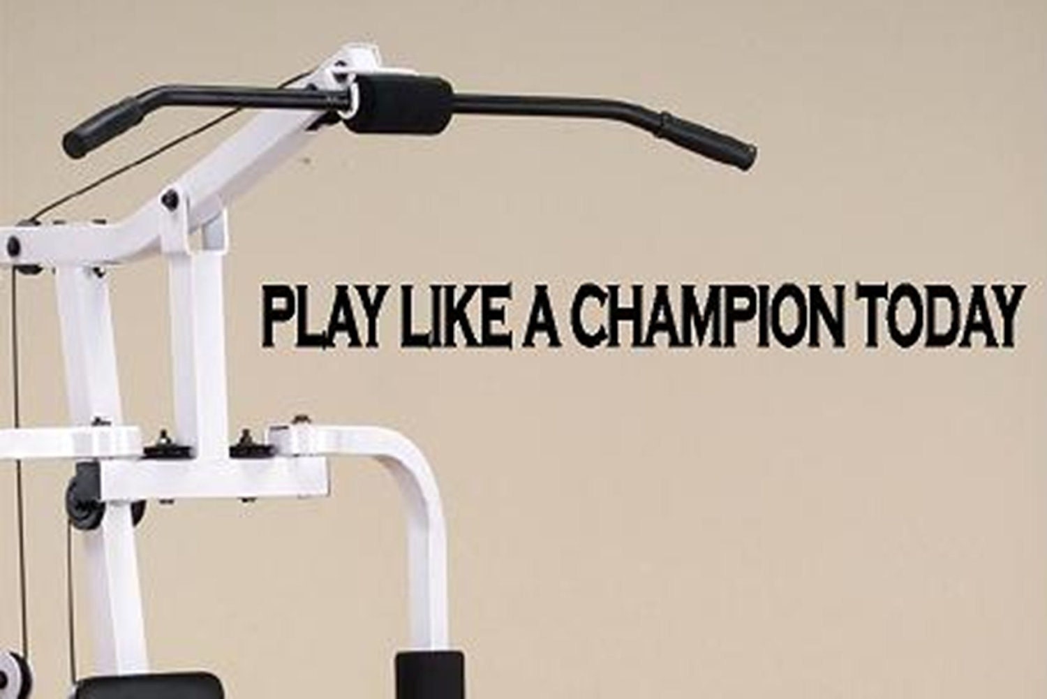 Vinyl Decal - Motivational Fitness Quote - 23 inches - Vinyl Quote