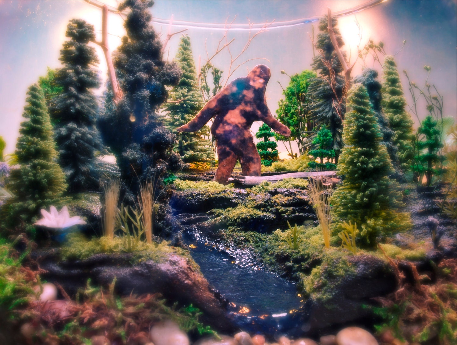 Sasquatch Country - Bigfoot Forest - Deluxe Terrarium / Diorama