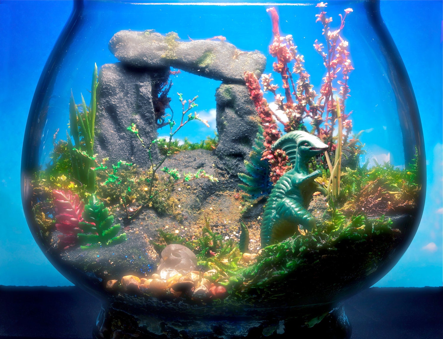 Fish Terrarium