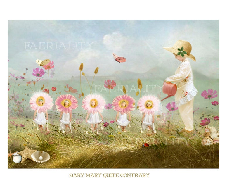 Nursery Rhyme Print  ' Mary Mary Quite Contrary '  by Charlotte Bird Matted size 12 x 16 inches