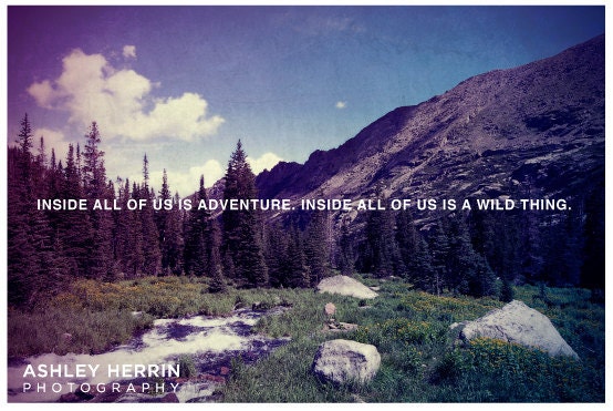 Wild Thing - 16x24 fine art print - Nature and Landscapes - Quotes and Inspiration