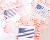NAUTICAL or PATRIOTIC Custom Party Printable Favor Tags - as seen on Lauren Conrad