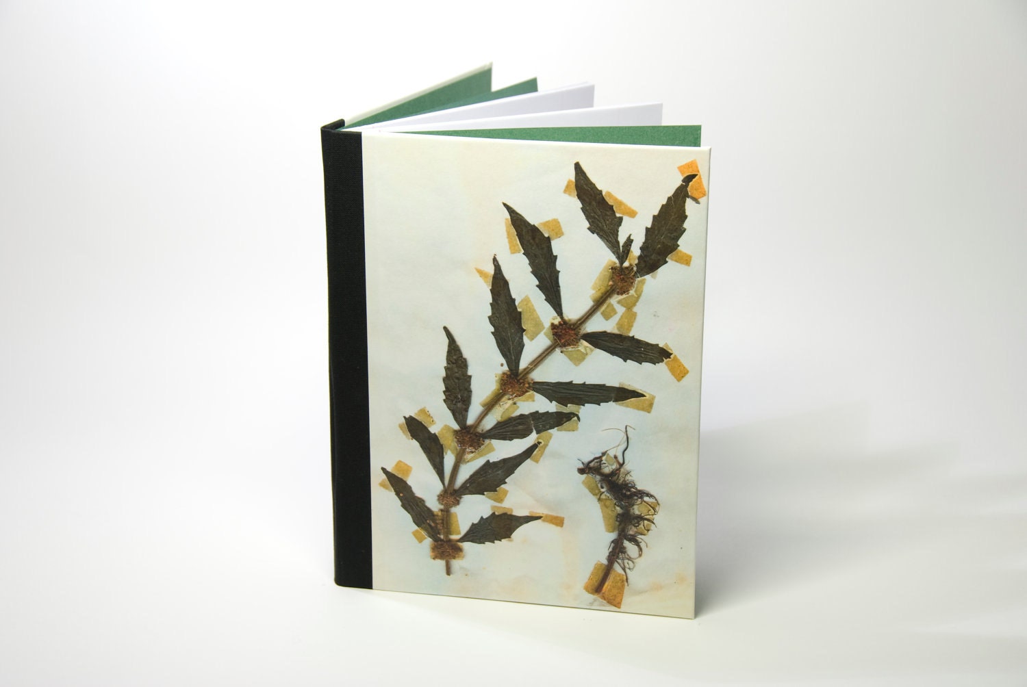 Handbound notebook (lined) with a unique print of dried plants: Lamium