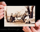 Friendship between a human and a tiger