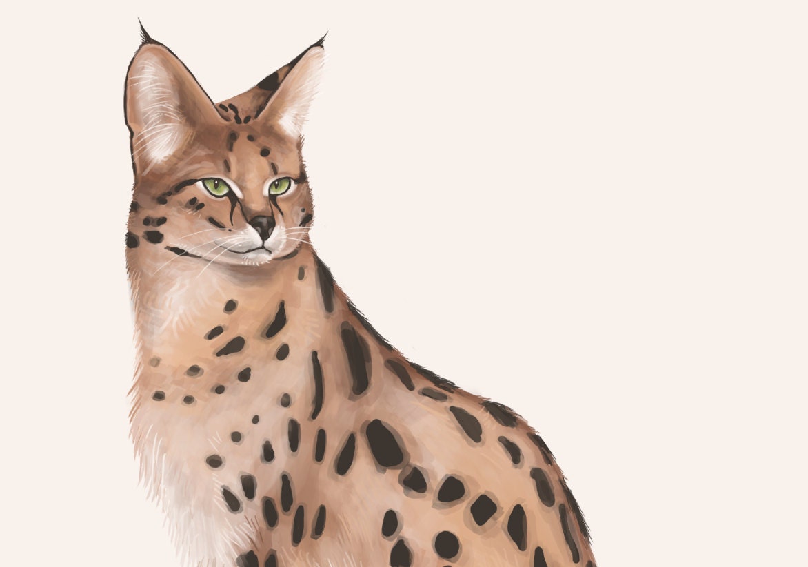 Cat Print, Original Illustration, Animal Print, Art, Wild Serval - TinyKiwiCreations