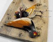 Vintage pair of zombie birds. Walking dead birds