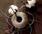 Cotton & Twine (Cotton2) 14x14