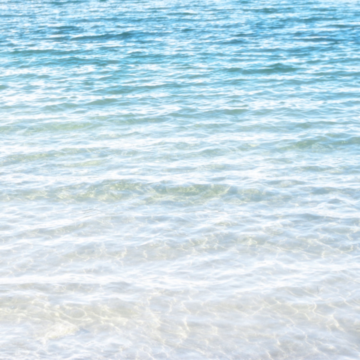 Beach Waves Ocean Green Blue Water 8x8 Fine Art Photography Print