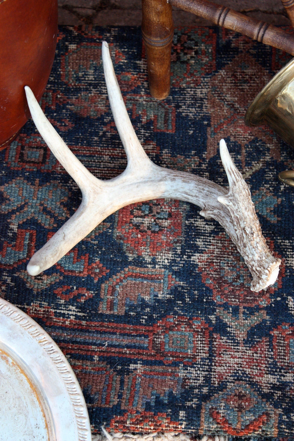 Rustic & Rare Antler Shed ... 2