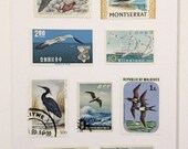 Vintage Stamp Wall Art - Water Birds