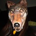Halloween animal masks Papier mache wolf mask costume