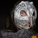 Paper mache papier mache owl mask Silver Smart from Pokaini forest bird costume