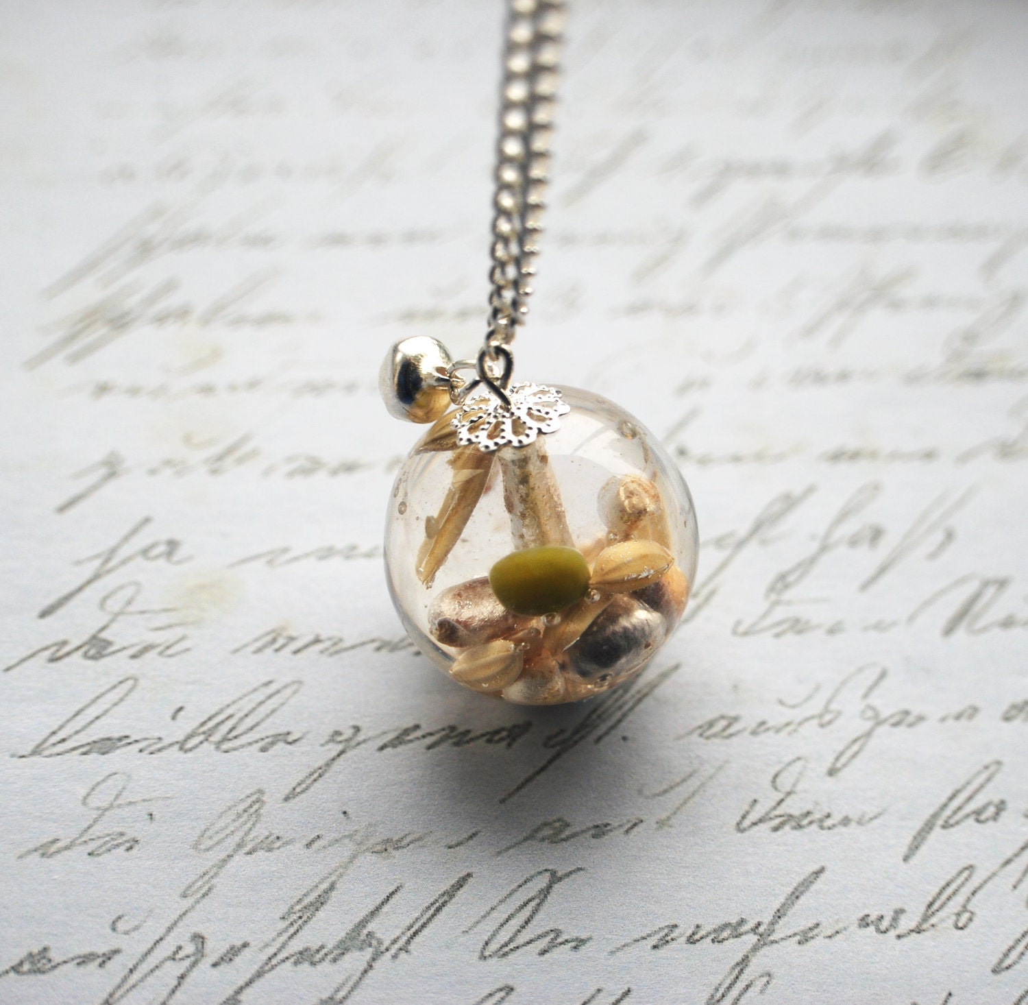 Real Organic Seeds Necklace Resin Necklace Resin Jewelry Specimen Botanical Large Bead Necklace Jingle Bell Resin Orb Nature Resin Jewelry
