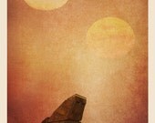 Star Wars Transport Series: Sandcrawler Limited Edition Print