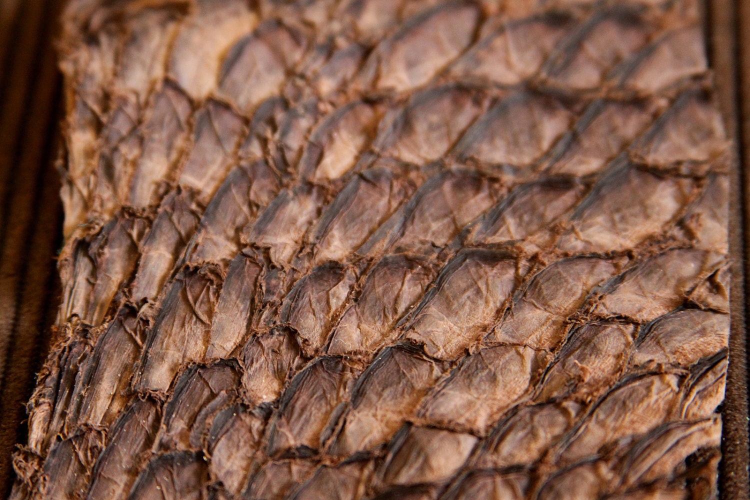 Highly Textured DARK BROWN, Exotic, Recycled Leather Fish Skin, great for Bookbinding, Journals, Jewelry