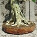 Japanese Chinese Bonsai Tree Wire Beaded Sculpture Home Decor