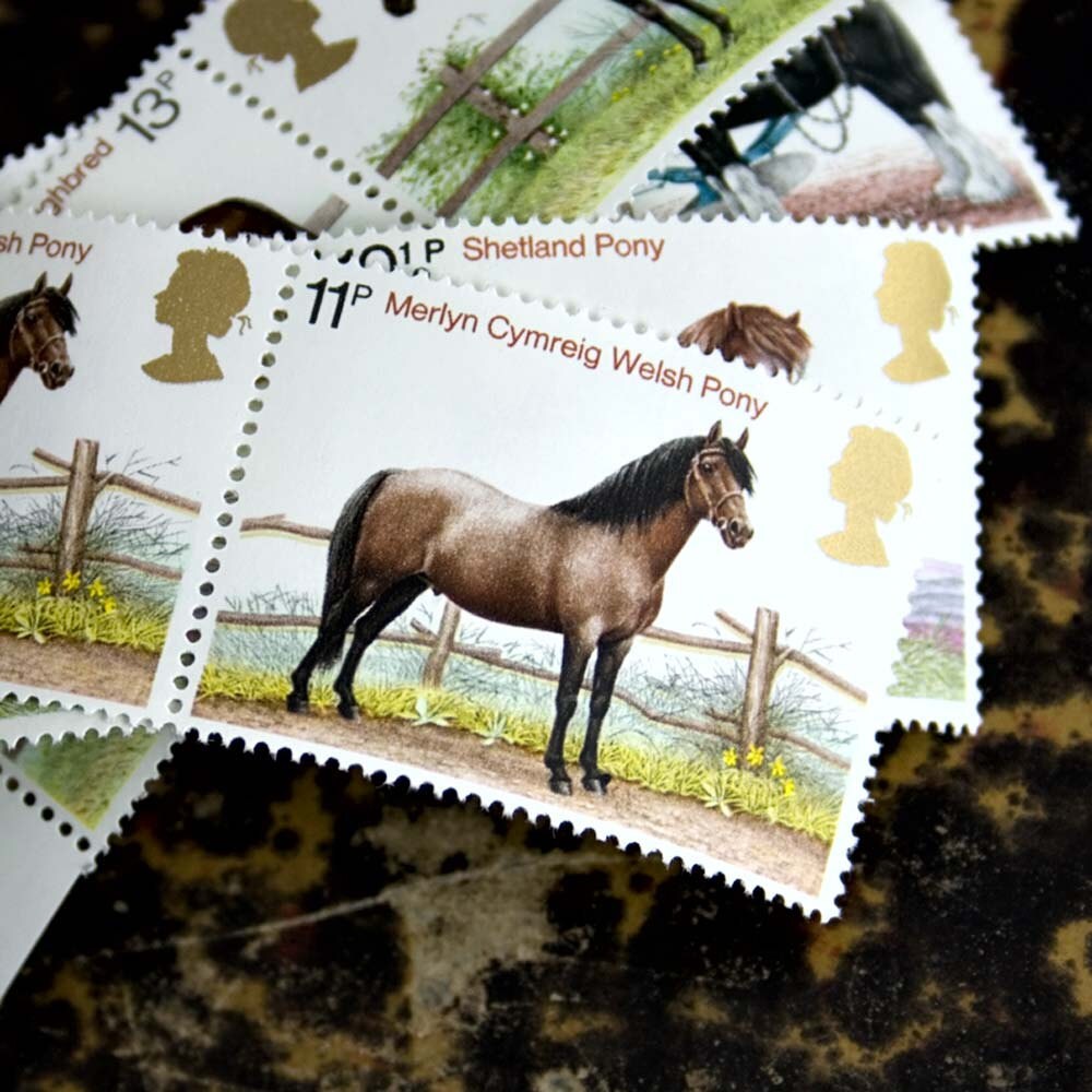 british horse breeds