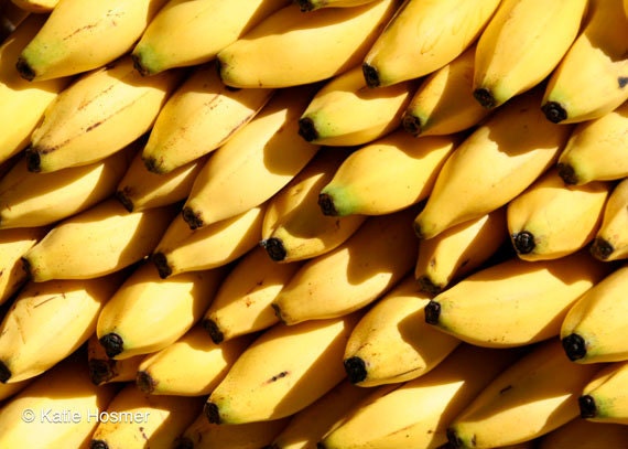 A Bunch of Bananas - 5x7 Matted Photograph