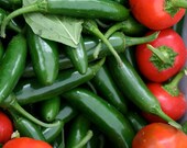 Peppers and Tomatoes - 5x7 Matted Photograph