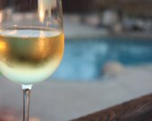 Photograph - Chardonnay in the Summertime